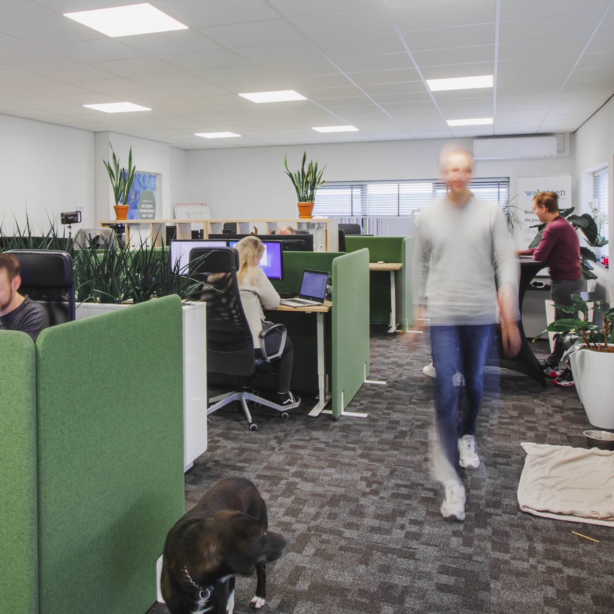Picture of Office Websteen