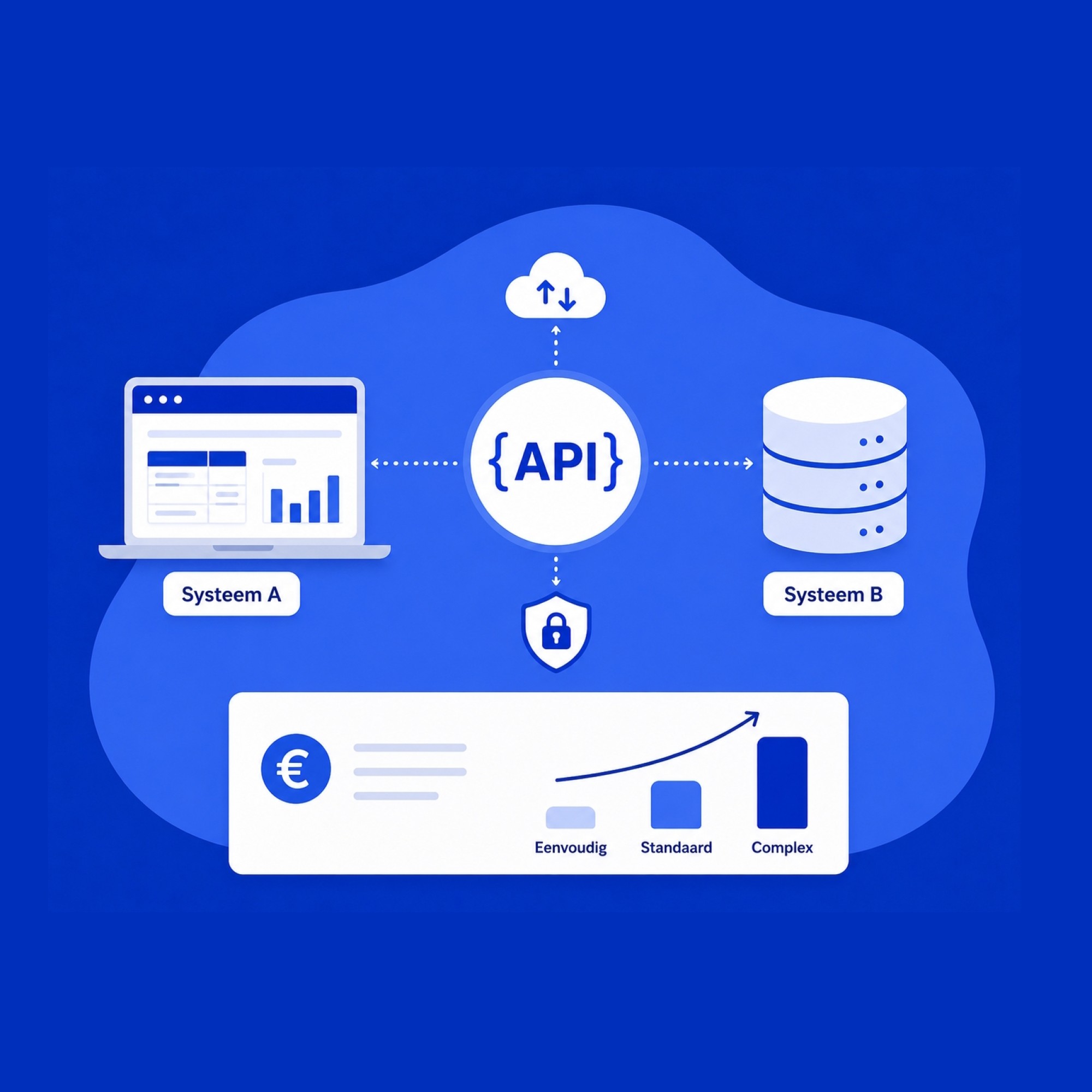 Waarom een API-koppeling laten maken?